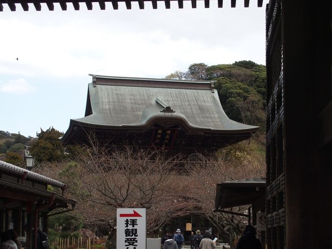 ２０１６年３月２５日、鶴岡八幡宮を出た後は、無謀にも建長寺まで歩きました。建長寺の中も広いですね。ここでもしっかり歩かされて、色々な展示物を見ました。さすが鎌倉５山の１つですね。重文がゴロゴロありました。しかし、建長寺って鎌倉駅より、北鎌倉の方が近そうですね。