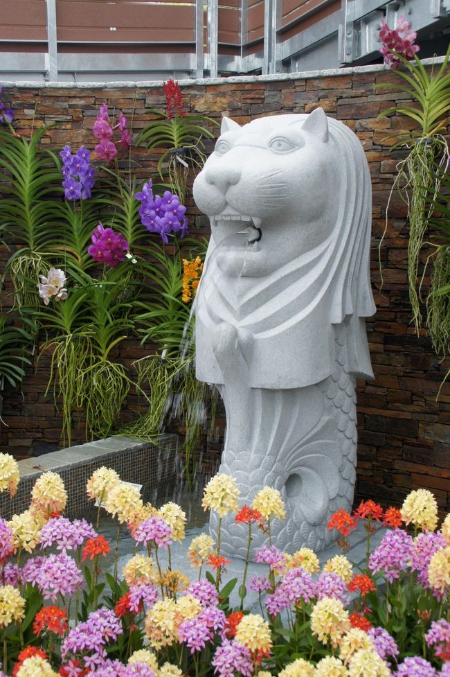 青島を一回りした後、予定通り、植物園に。帰りの列車まで、けっこ時間有りまして、無料の植物園でそこまで時間かかるかどうかと思いましたが…新品同様、花の種類もなかなか。時間もえぇ感じに。<br /><br />後で知りましたが、3/26にリニューアルオープンしたばかり。道理で綺麗なんやね