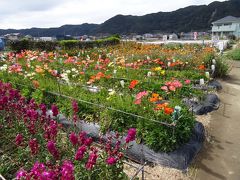 花真っ盛りの南房総へ