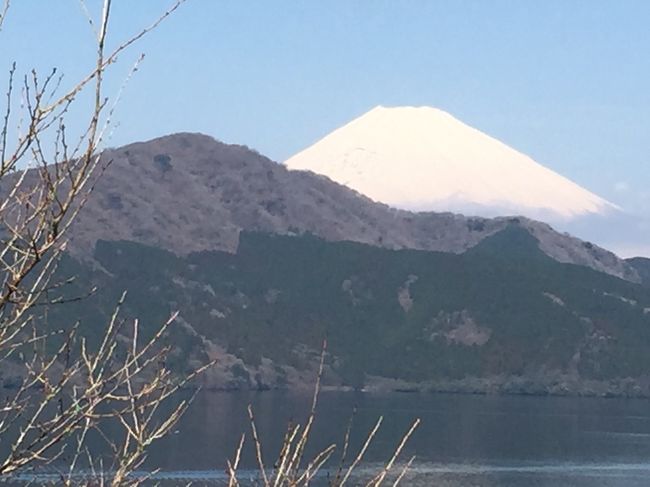 大学が春休みの息子と二人で箱根・東京へ美術鑑賞と温泉の旅に行ってきました。