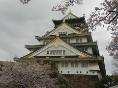 弾丸・大阪旅行②桜と大阪城天守閣