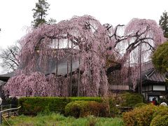 韮崎の旅行記