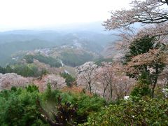 奈良の桜名所めぐり（その２）吉野の千本桜