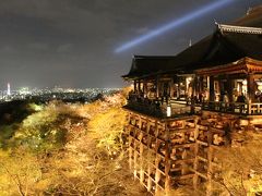 2016年京都さくらの旅