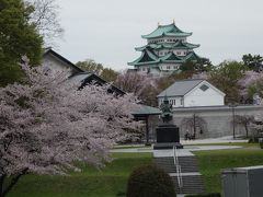 名古屋能楽堂近辺で花見の散歩。よく整備されたところです。