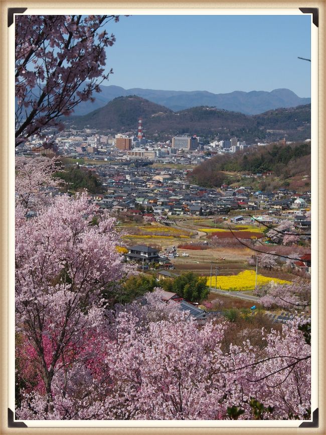 ２０１４年に訪れた福島の花見山。<br /><br />開花情報をチェックしていたら、ほとんどの花が満開！となったので・・・２年ぶりにまた訪ねてみよう。<br /><br />早速出かけよう！と思った昨日は、あいにくの雨模様だったので、お天気になった今日、出かけてみた。<br /><br />ちょうど・・・ほとんどの春の木々のお花が満開で・・・色とりどり〜！百花繚乱〜！春色いっぱいの花見山は、青空のもとで・・・まさに桃源郷に相応しい華やかさだった。<br /><br />開花情報を含む花見山公園のＨＰ<br />http://www.f-kankou.jp/hanamiyama.htm<br /><br />花見山公園　阿部家ＨＰ<br />http://www.hanamiyamakoen.jp/<br /><br />２０１４年の花見山の旅行記<br />http://4travel.jp/travelogue/10878518<br />http://4travel.jp/travelogue/10878730<br /><br />★ＧＷ旅行準備で忙しいので・・・写真は撮ったものをそのまま選別せずに載せちゃっていますので、枚数多く（←いつものことですが）、同じようなシーンがある上、コメントもほとんど入れてませんが・・・お許しくださいね。