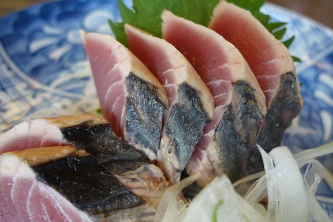 飫肥の次が、本日遠征の本命？油津です。東京築地の某食堂で、いつも美味しいキハダマグロをいただけるのは、こちらのおかげ。どんな港だか、見て来ましょうかと。ついでに、なんか美味い魚食えるとえぇなぁ