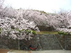 ’１６　日本１００名城　桜の咲く甲府城（舞鶴城）