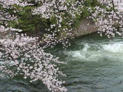 花曇りの中、京都で満開のサクラとグルメを堪能してきました。～柚子屋旅館・チェンチ・にしかわ・食場大野で食す～