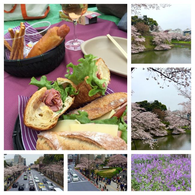 【東京】2016お花見に出かけました、千鳥ヶ淵～北の丸公園～靖国神社