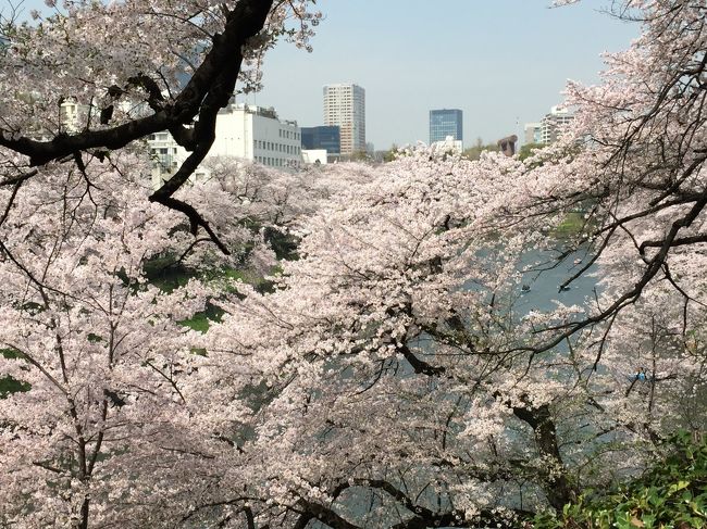 大人の遠足BOOK「四季の花あるき関東周辺」を参考に、皇居周辺をお花見ウォーキングしてきました。<br />千鳥ヶ淵は有名なだけあって人が多かったですが、桜はすごく綺麗でした。個人的に気に入ったのが皇居二の丸庭園。それほど混んでいなかったし、桜以外の花も多くて散策が楽しかったです。