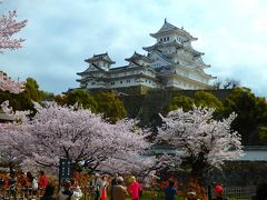 桜＆姫路城