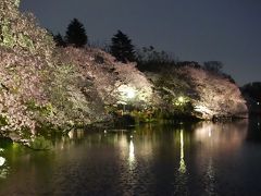 2016井の頭公園の桜～散り始め