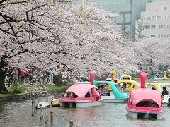 東京散歩　桜の２つの名所を歩いて（上野公園→浅草隅田川）