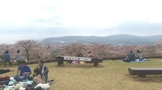 友達に誘われて凄く綺麗な桜と一緒に菜の花が見れるから、行ってみようと言われ日帰りでお花見しに行ってきました♪(^_^)/折角遠出をするので、お花見する近くに大磯漁港があるので、そこで美味しい海産物を頂こうということになり、行ってきました♪(^-^ゞただ、お花見なのにも関わらず、ほとんど桜等の写真を撮っていないんですけどね～(^^;)(;^^)ほぼ備忘録的な物ではありますが、良ければご覧下さいませ♪(^-^ゞ