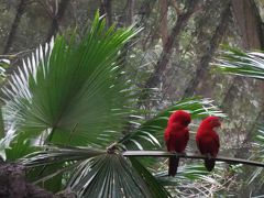 初めてのシンガポール③　動物園　後半