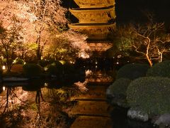 ２０１６年４月　桜色に染まる京都へ♪～ライトアップの「東寺」で夜桜に酔いしれて☆.。.:*・～