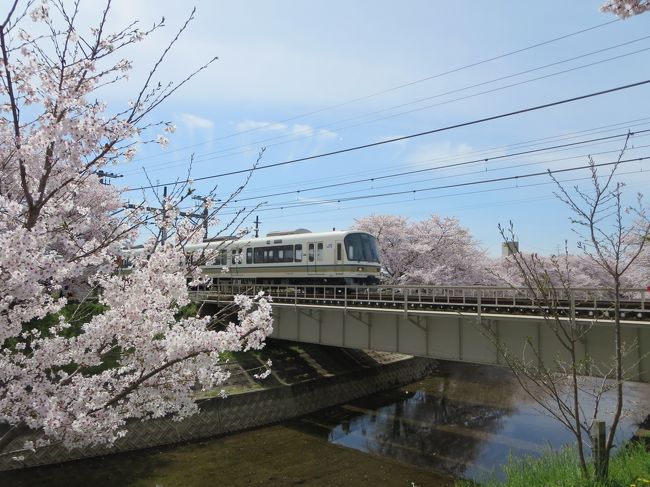 ２０１３年の４月に、持病の宣告を受けました。<br />それから、丸３年、家族と友人に支えられて、とても充実した楽しい生活を送っています(*^_^*)<br /><br />毎年、桜の時期になると、佐保川の桜を母と見て、「また来年も、この桜を見にこようっと♪」と思います♪<br /><br />