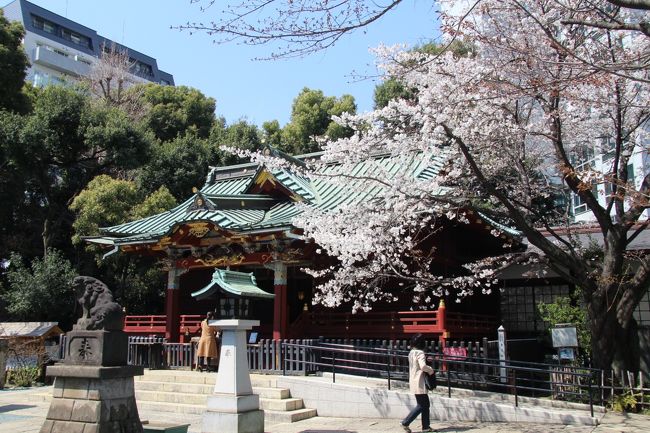 一枝に一重と八重が混ざって咲く珍しい金王桜が見頃となった渋谷の金王八幡宮に花見に行きました。<br />その後代々木公園まで渋谷、原宿を散策。<br />代々木公園ではソメイヨシノはまだ３分咲から５分咲程度でした。<br />表紙は金王八幡宮拝殿と金王桜<br />