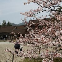 201603-02_出雲國神仏霊場めぐり－その１（第一番～第四番）- Pilgrimage to the 20 temples/shrines in Izumo (Shimane) -1