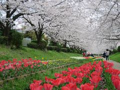 2016年　横浜・江川せせらぎ緑道