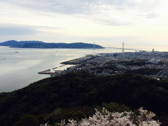 サクラ満開！風光明媚な春の須磨浦公園～絶景ポイント山上遊園