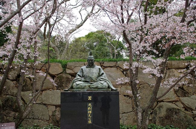 桜の満開を見たいと思っていてもサラリーマンをしているとその日に桜を愛でることも難しい。<br />思い立って桜を見るために出かけてた萩城跡の桜は盛りを過ぎて散り始めていましたが綺麗な花を見ることが出来ました。<br />その後、徒歩で萩城下町を経て数日前にリニューアル公開された青木周弼旧宅を見て回り、橋本川沿いの桜並木を拝見しました。<br />帰り道は裏通りを歩き、萩出身の川柳作家、井上剣花坊誕生地を横目に帰路につきました。<br />眼と心は桜に癒され、歩いて回ることで体は健康になったような気がします。