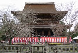 2016春、奈良の桜(8/13)：吉野山(4)：金峯山寺、蔵王堂、後醍醐天皇導稲荷、東南院