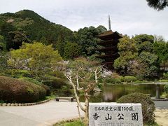 香山公園から一の坂川へ～桜を巡る小さな旅