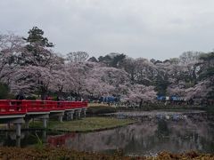 岩槻城址公園桜まつり