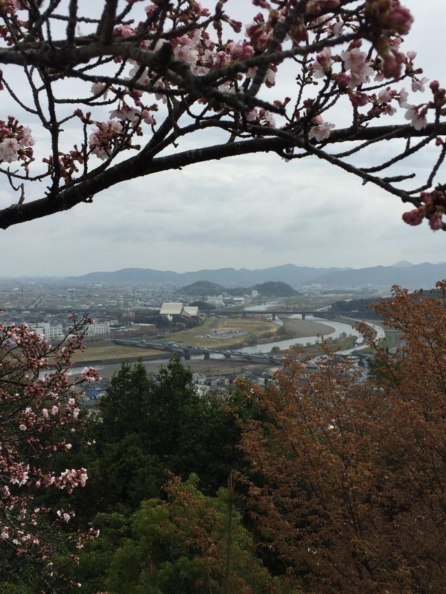 知人の勧めがあり桜のシーズンに播磨のたつの市を訪問してきました。