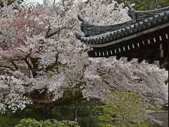 甲子園応援翌日の京都（２）−泉涌寺−