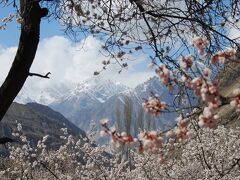 桃源郷、ありました ～2016年花のフンザ旅行記(1)～ (1日目：成田→イスラマバード)