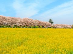 幸手・久喜・栗橋の旅行記