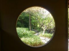 新緑を迎えた名古屋白鳥庭園