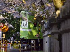 緑色の国鉄型車両103系を追いかけて、満開な桜が咲き広がる城陽・久世神社と奈良・佐保川に訪れてみた