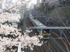ＪＲ飯田橋駅から市ヶ谷駅までの桜並木をぶらぶら