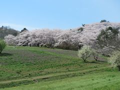 サクラを求めての秩父ハイキング①長瀞・野土山～不動寺