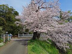 <関東ふれあいの道・神奈川県コース> ⑩太田道灌と日向薬師のみち