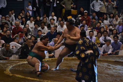 大相撲藤沢場所2016】献血ちゃんに巡業のチケットを貰って行って