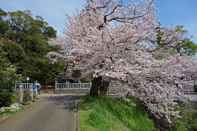 たかぢ、ぴょんさん、けんいちの３人旅です。<br /><br />【関東ふれあいの道】丹沢大山の山々を望む田園地帯を、いくつかの神社と太田道灌ゆかりの場所をめぐるコースです。<br /><br /><br />『関東ふれあいの道：１都六県をぐるりと１周する長距離自然歩道です。日帰りで行けるコースが１６０設定されていて、それらを走破すると認定証が各都県からいただけます。神奈川県は１７のコースがあります。』<br /><br />