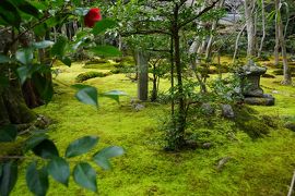 2016.4　京都春の旅～嵐山・嵯峨野（常寂光寺～愛宕念仏寺）②