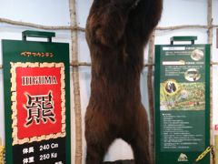 15-16シーズン　５回目の北海道は　サホロリゾート。