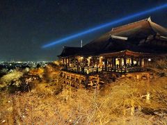 京都 桜の名所めぐり