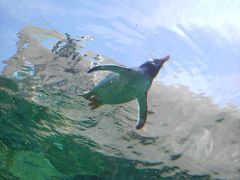 【備忘録】旭川動物園～十勝～釧路