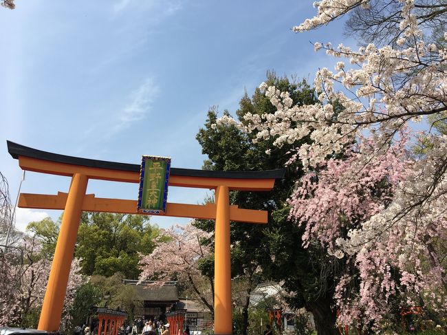 京の週末　～京都御苑でお花見、桜舞い散る平野神社＆建勲神社、超レトロな船岡温泉でひとっ風呂浴びる～