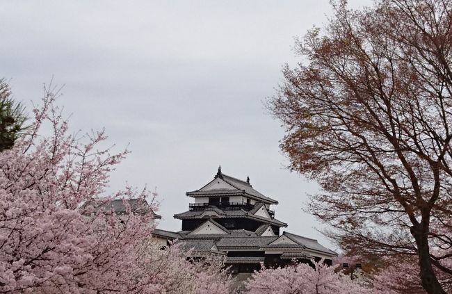 お城へ行こう　春の四国　丸亀城・大洲城・松山城・今治城