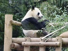 東京都恩賜上野動物園 