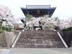 京都の桜、くろ谷 金戒光明寺～真如堂、そして京都市美術館のモネ展へ！