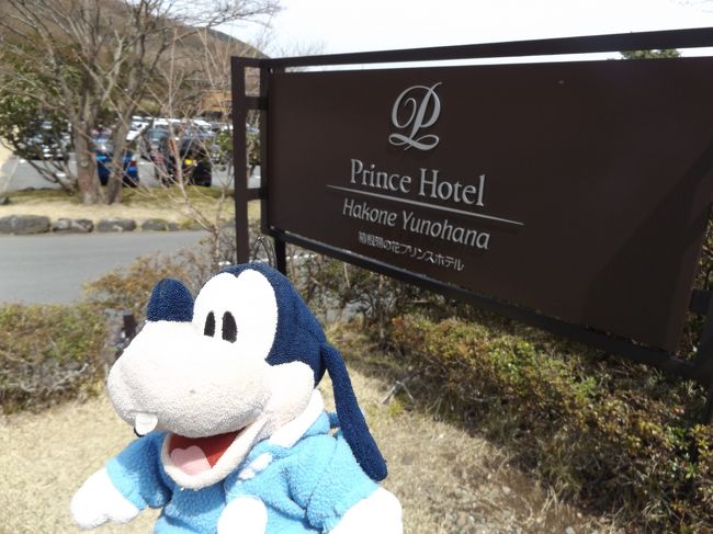 グーちゃんだよ。<br />恒例の春の本合宿!<br />いつもの通り、ロマンスカー乗車とともに<br />思い切り飛ばしたよ!<br />だけど、ちょっといつもと風が違うの・・・。<br />しかも合宿史上初の朝ビーなしなんて出来事も!!<br /><br />いったいどうしたのか??<br />